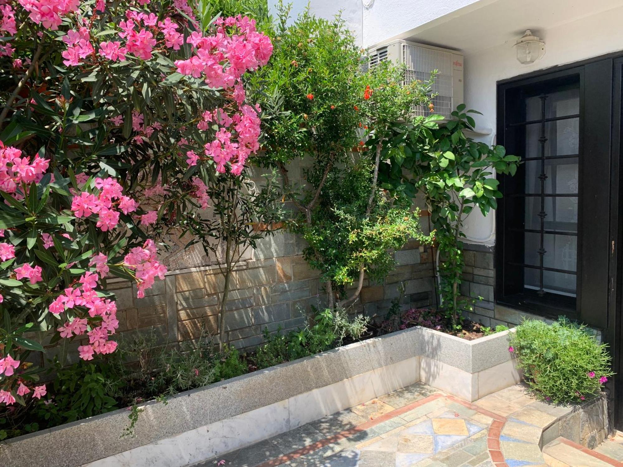 Gemuetliches Appartement In Ano Poli Salonicco Esterno foto
